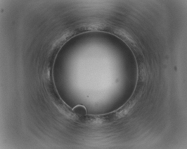 X0000072940310200607211108