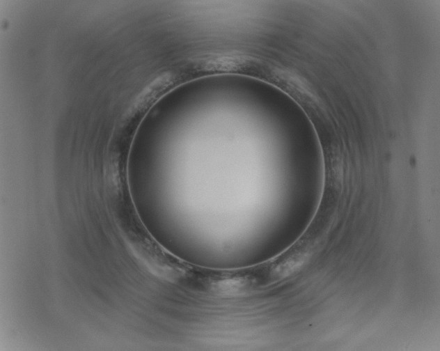 X0000072940312200607211108