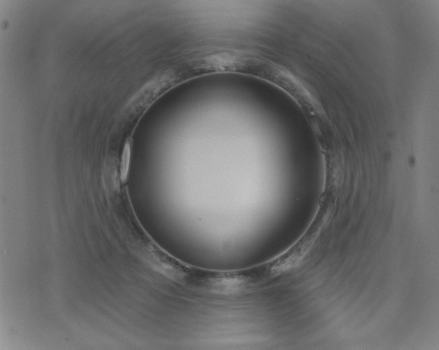 X0000072940313200607211108