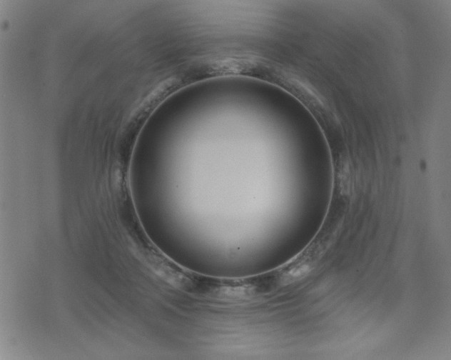 X0000072940314200607211108