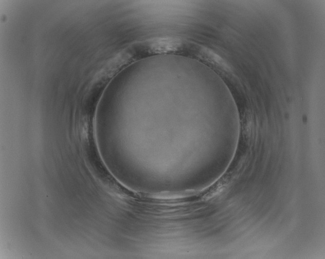 X0000072940315200607211108