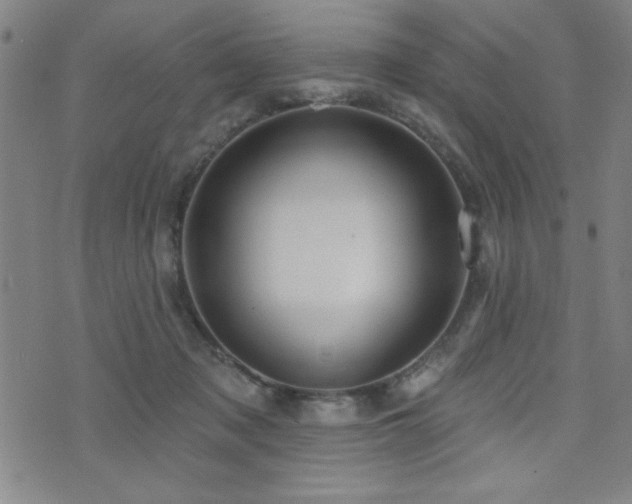 X0000072940317200607211108