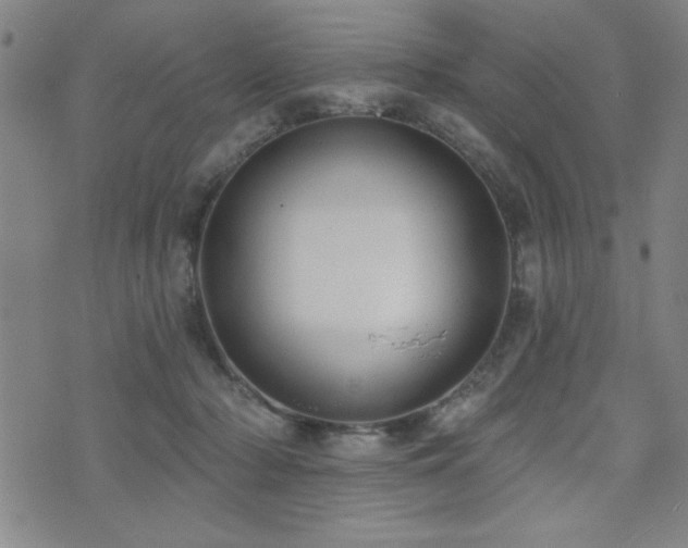 X0000072940318200607211108