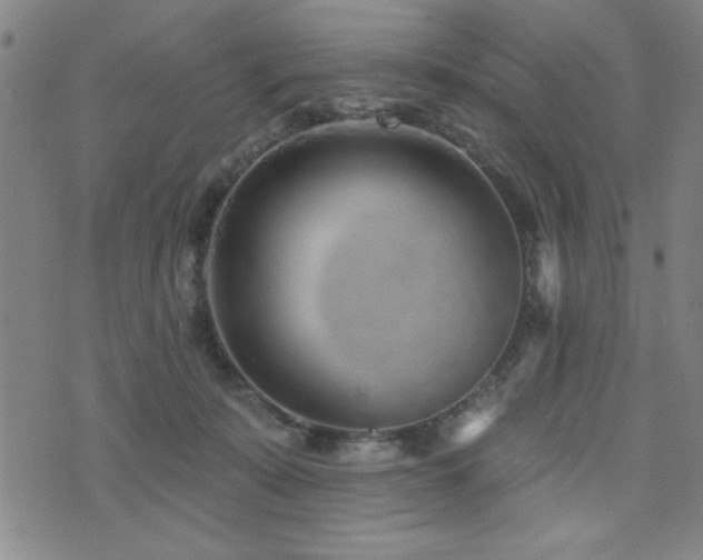 X0000072940319200607211108