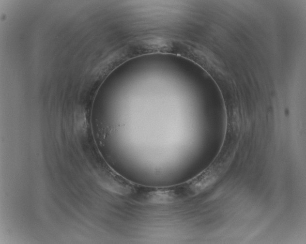 X0000072940320200607211108