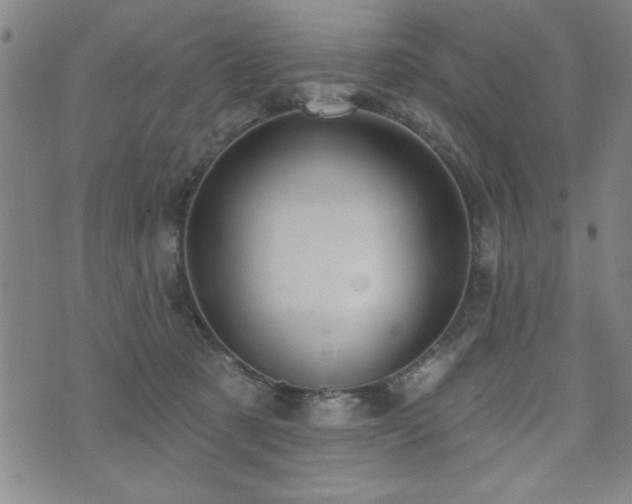 X0000072940321200607211108