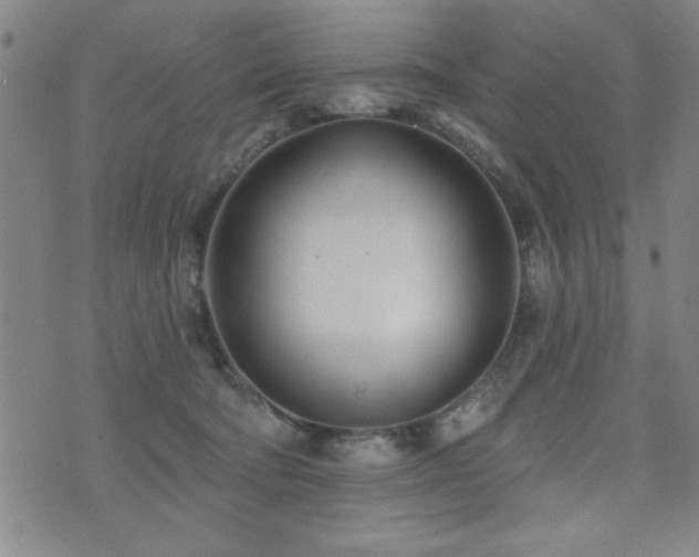 X0000072940322200607211108