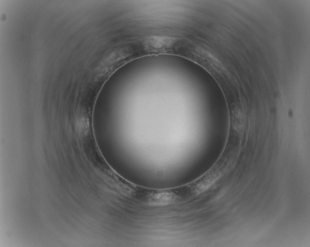 X0000072940324200607211108