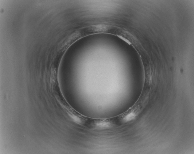 X0000072940325200607211108