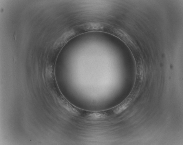 X0000072940326200607211108