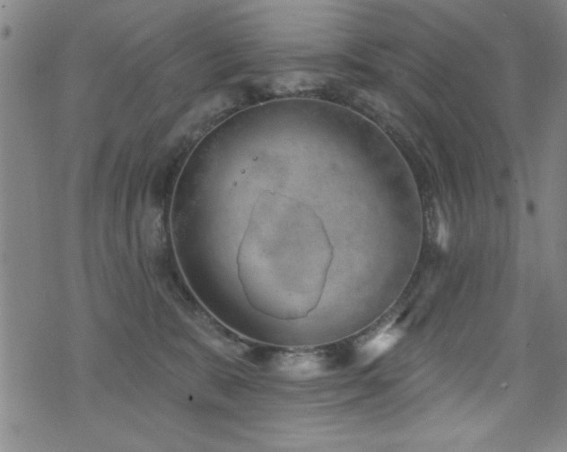 X0000072940327200607211108