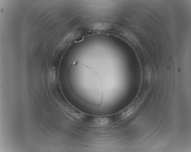 X0000072940328200607211108