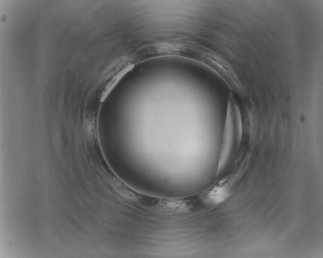 X0000072940329200607211108