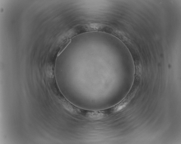 X0000072940331200607211108