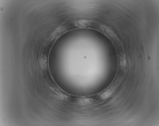 X0000072940332200607211108