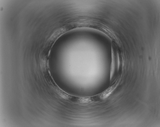 X0000072940333200607211108