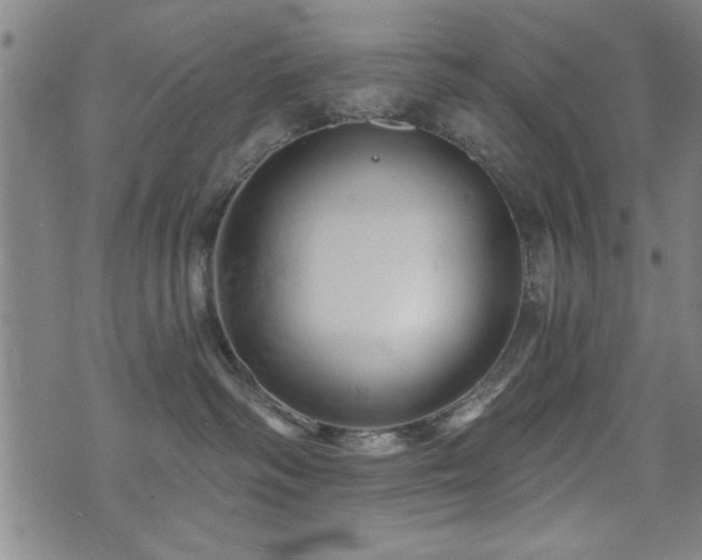 X0000072940334200607211108