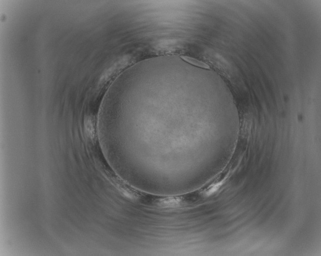 X0000072940335200607211108