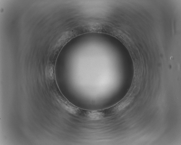 X0000072940336200607211108