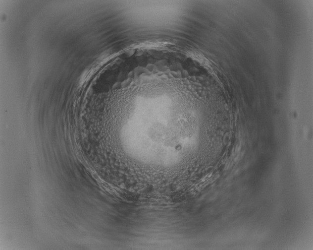 X0000072940337200607211107