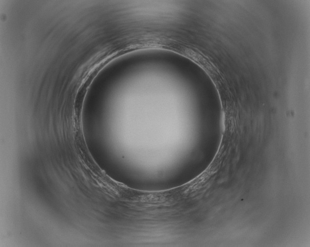 X0000072940338200607211107