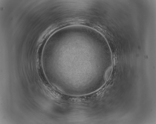 X0000072940339200607211107