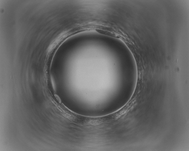 X0000072940341200607211107