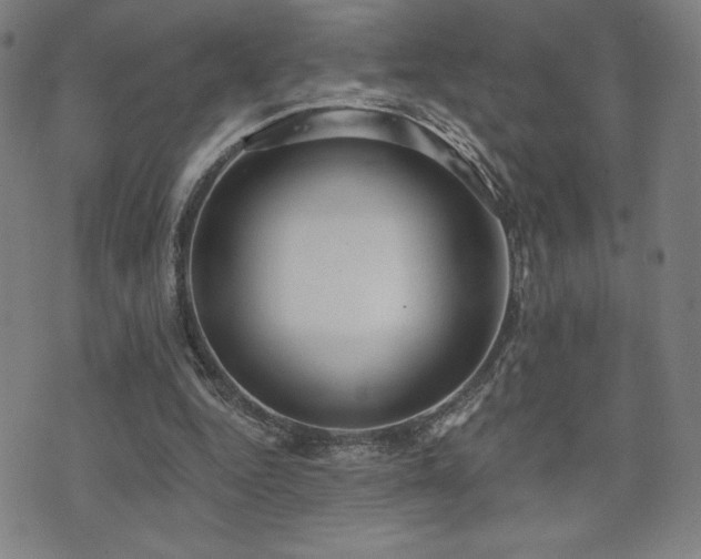 X0000072940344200607211107