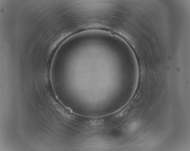 X0000072940345200607211107