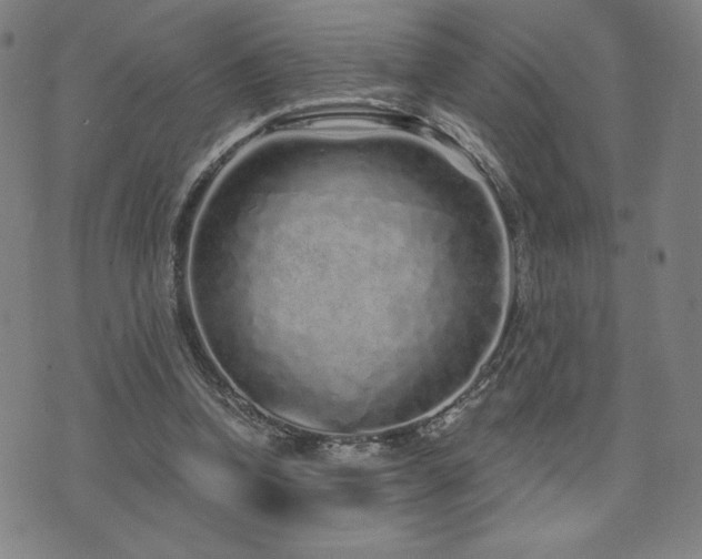 X0000072940346200607211107