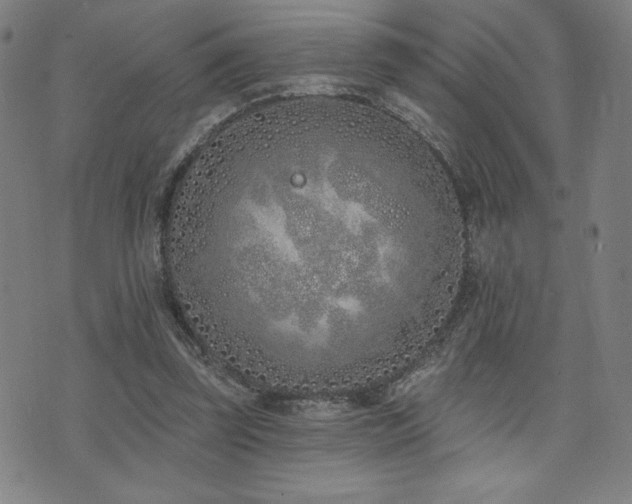 X0000072940347200607211107