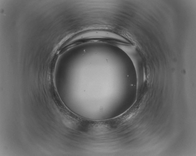 X0000072940348200607211107