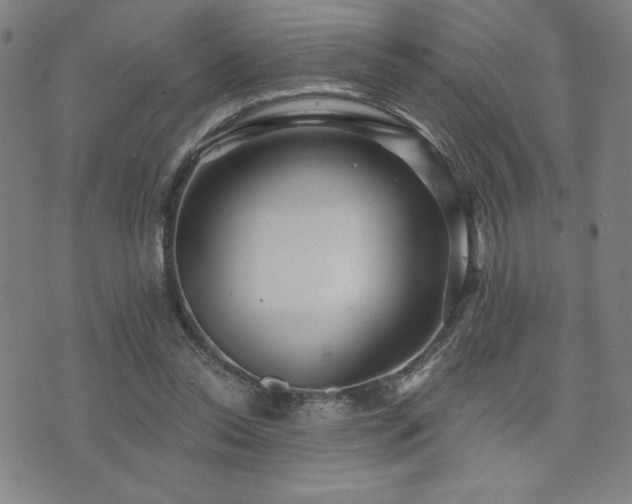 X0000072940350200607211107