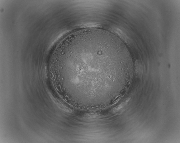 X0000072940351200607211107