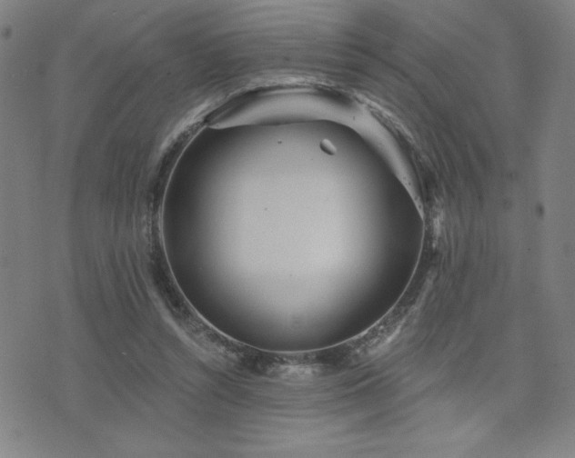 X0000072940352200607211107