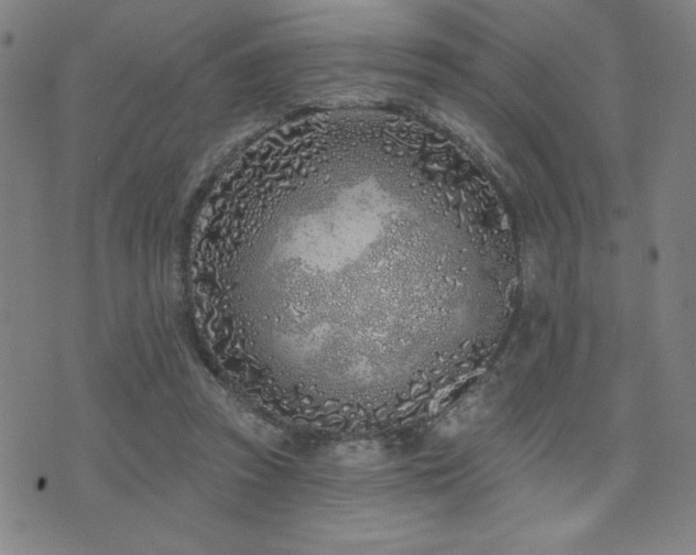 X0000072940353200607211107