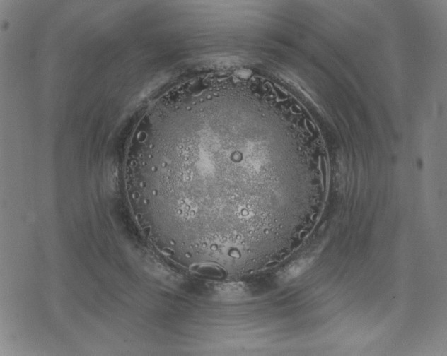 X0000072940355200607211107