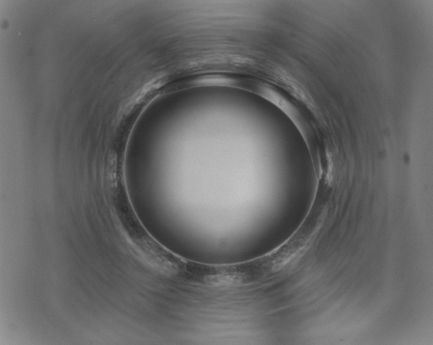 X0000072940356200607211107