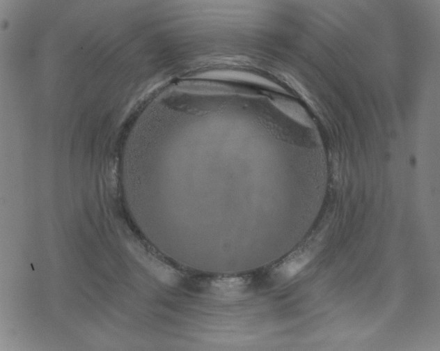 X0000072940357200607211107