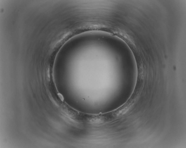 X0000072940358200607211107