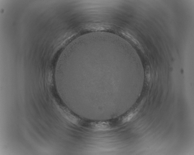 X0000072940359200607211107