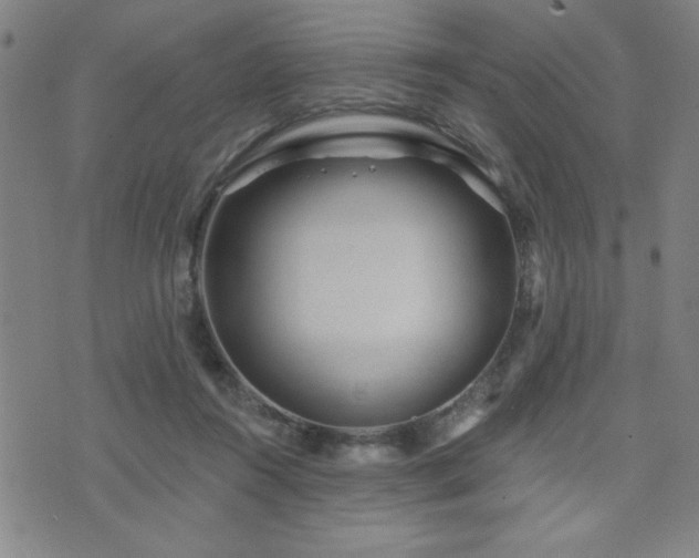 X0000072940360200607211107