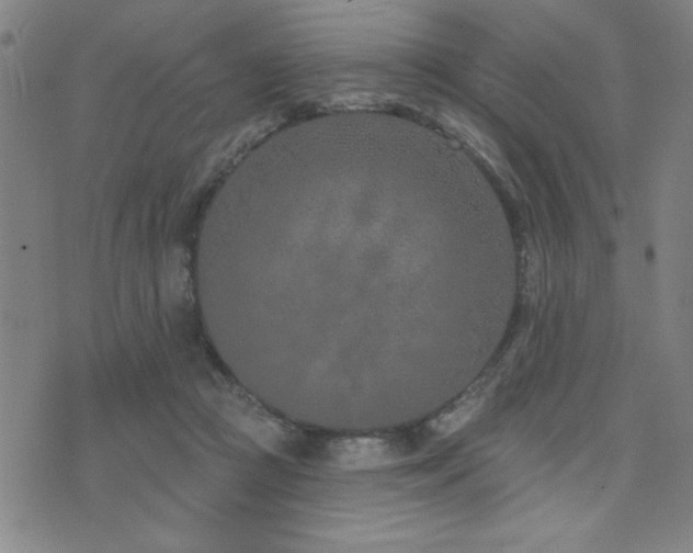 X0000072940361200607211107