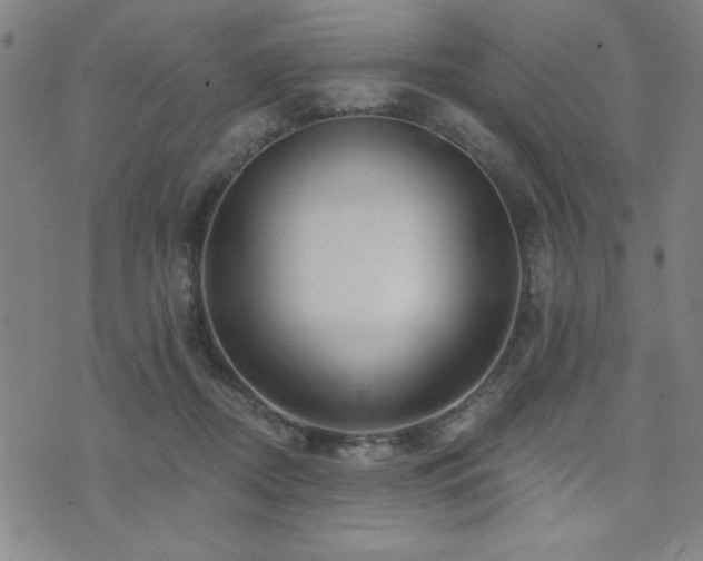 X0000072940362200607211107