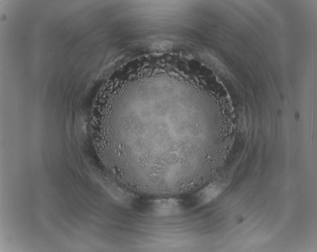 X0000072940363200607211107