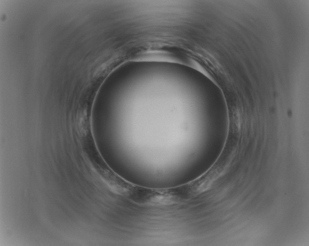 X0000072940364200607211107