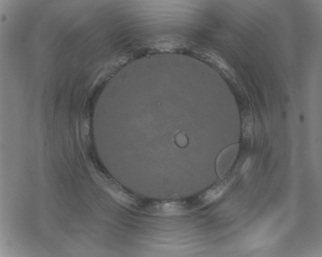 X0000072940365200607211107