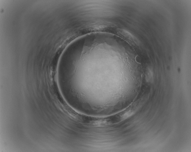 X0000072940366200607211107