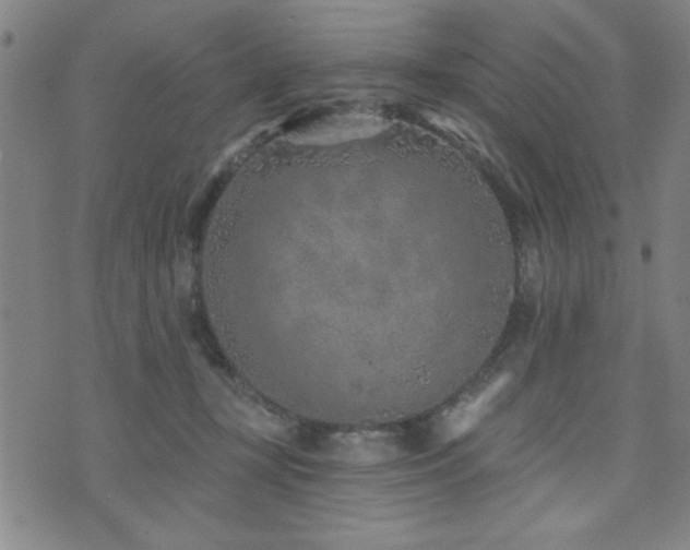 X0000072940367200607211107