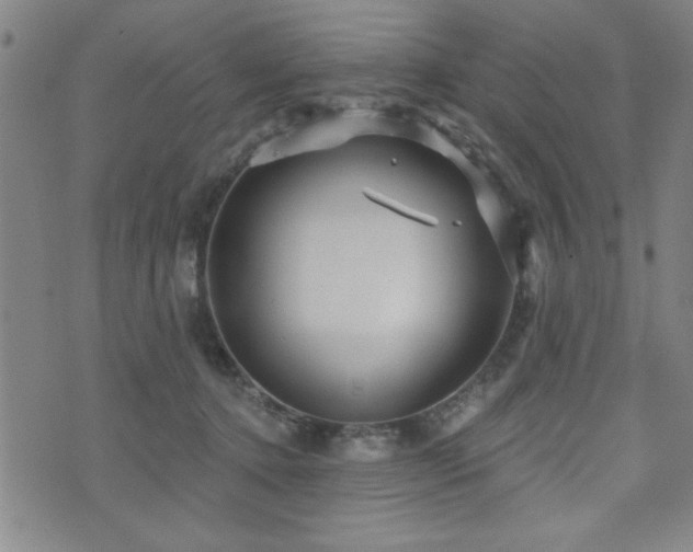 X0000072940368200607211107